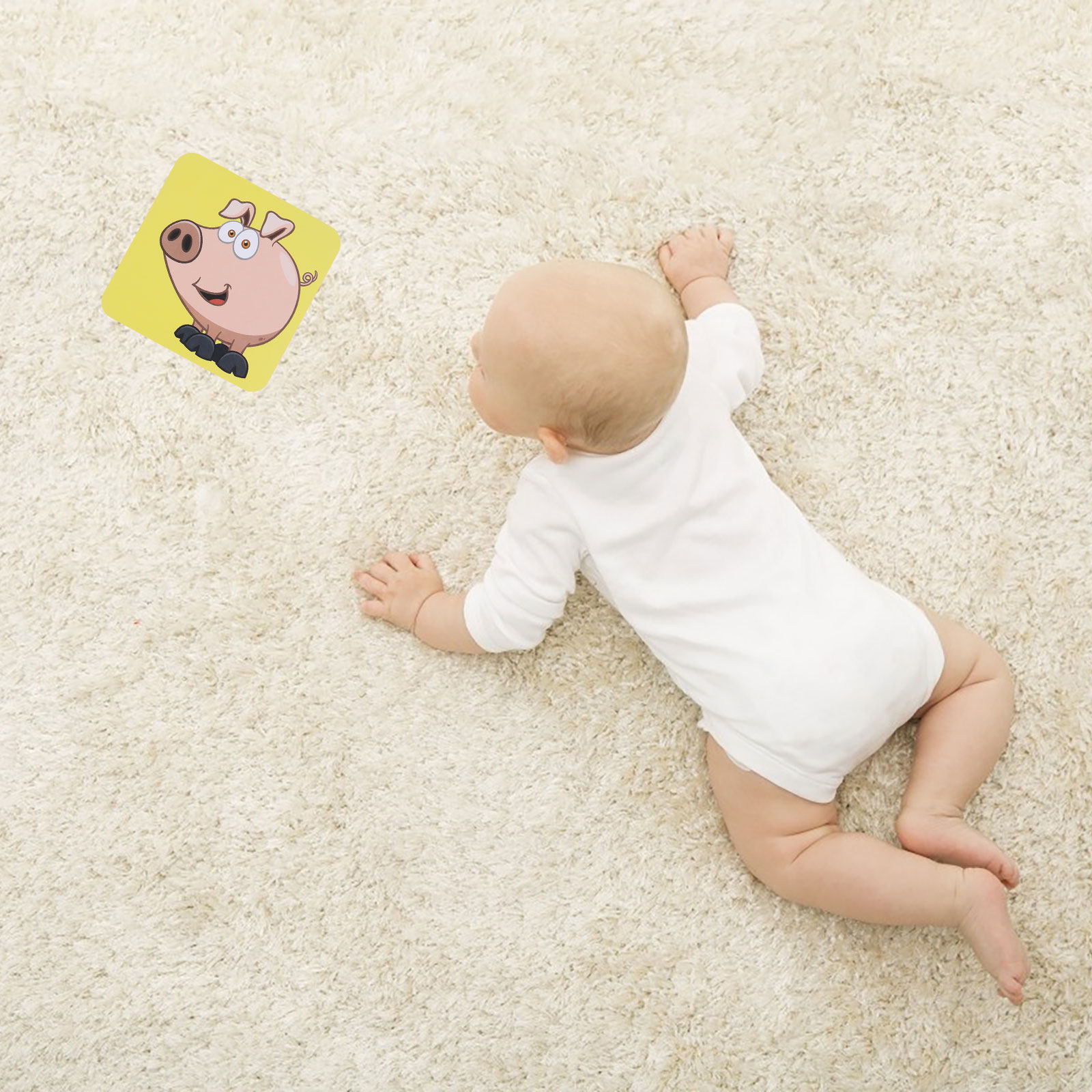 視覚刺激カード 色の認識 明るくデザインされた子供向け教育用 - Kids Education Fun のレビューと価格