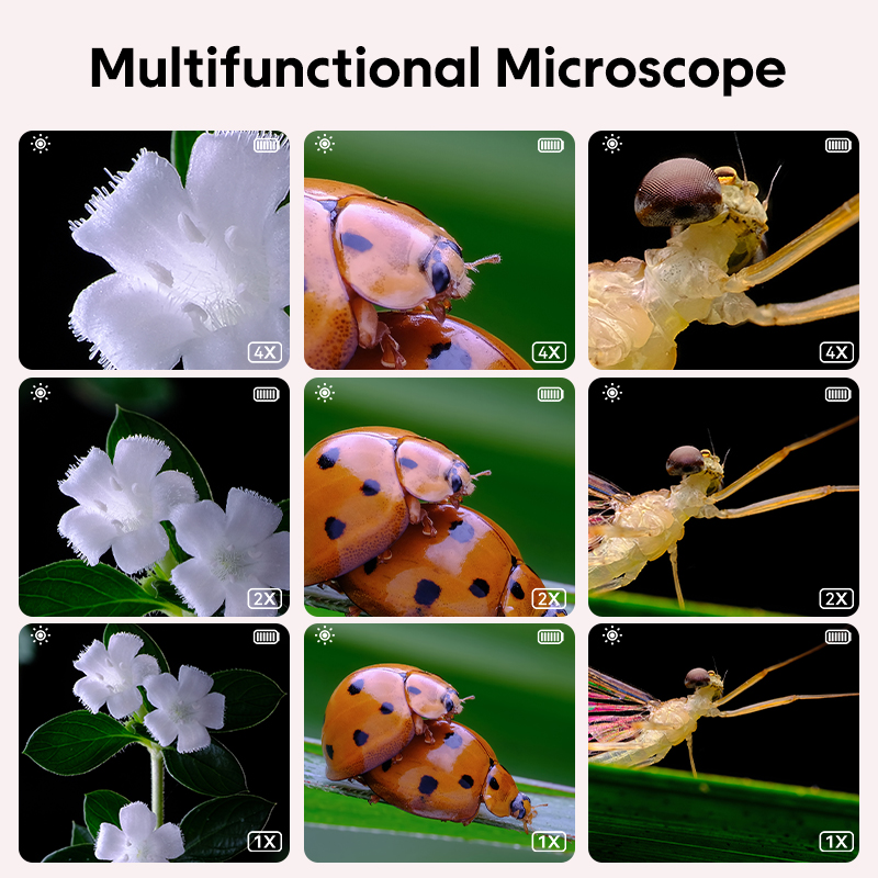 ミニ子供光学顕微鏡写真とビデオ機能 500X 顕微鏡世界を観 - Kids Education Video のレビューと価格
